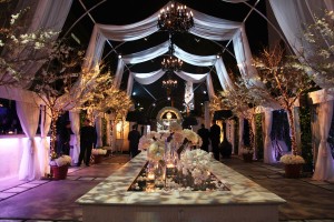 IMG_0020 copy