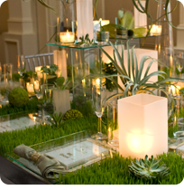 Wedding Gallery