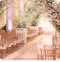 Wedding Gallery