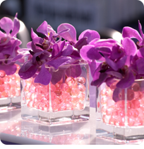 Wedding Gallery