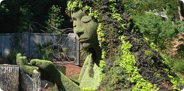 Atlanta Botanical Gardens
